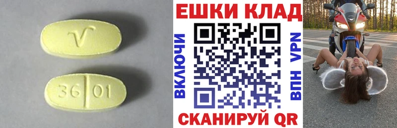 дарк нет официальный сайт  Полтавская  ЭКСТАЗИ Punisher 