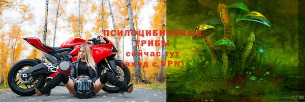 эйфоретик Алексеевка